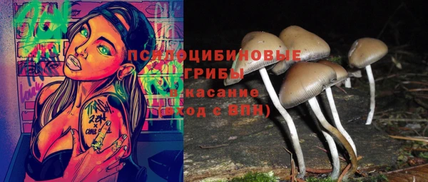 трава Арсеньев