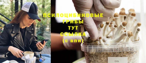 тгк Аркадак