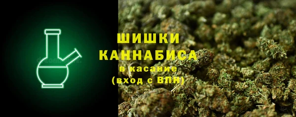 трава Арсеньев