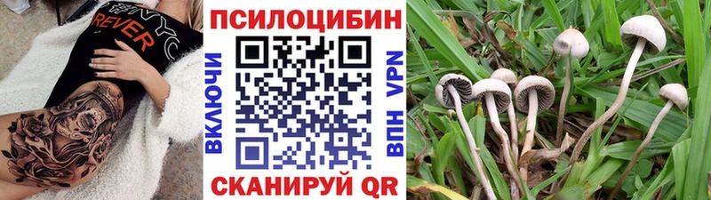 Галлюциногенные грибы мицелий  Медвежьегорск 